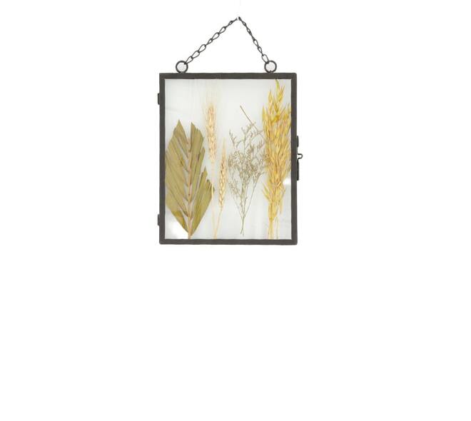 Photoframe with dried flowers glass 20x2x25cm