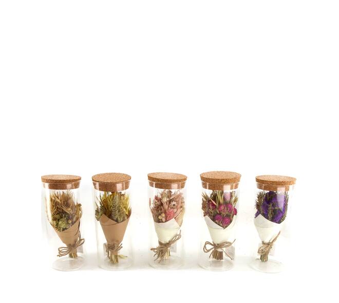 Dried flower bouquet in tube nature 5x5x12.5cm  - Multi