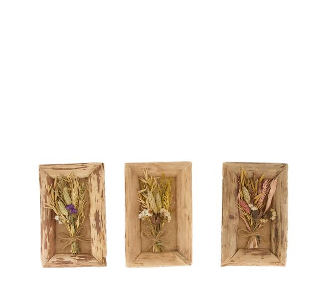 Dried flower in frame nature with hanger 22.5x14x4cm A/3