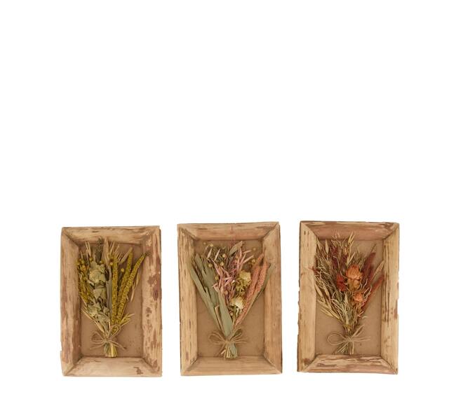 Dried flower in frame nature with hanger 27.5x18x4cm A/3