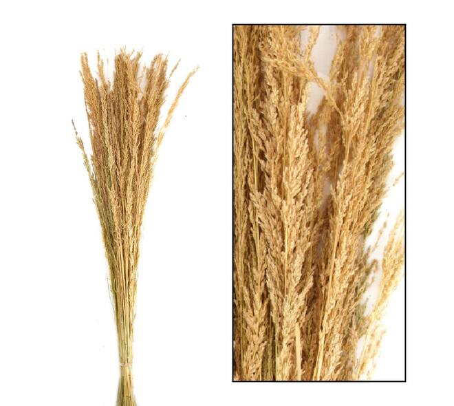 Richmond grass nature 100gr