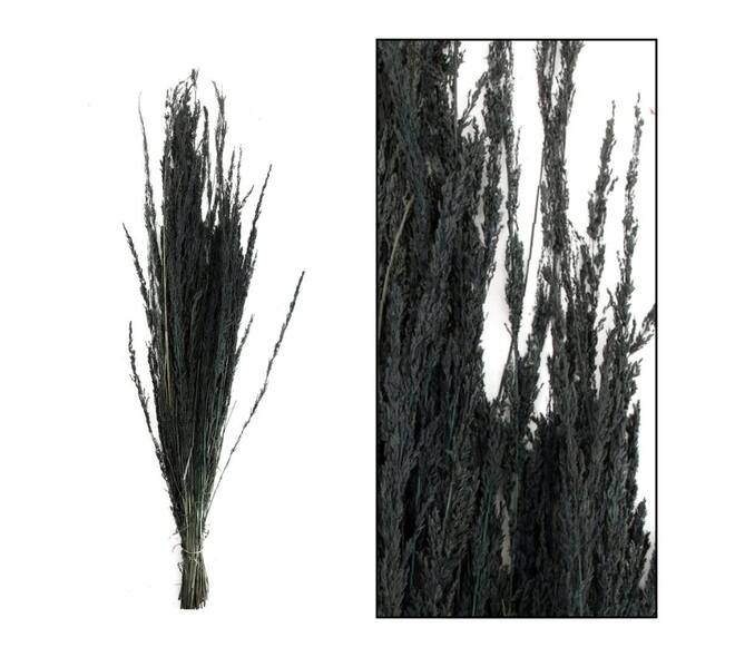 Richmond grass nature 100gr - Black