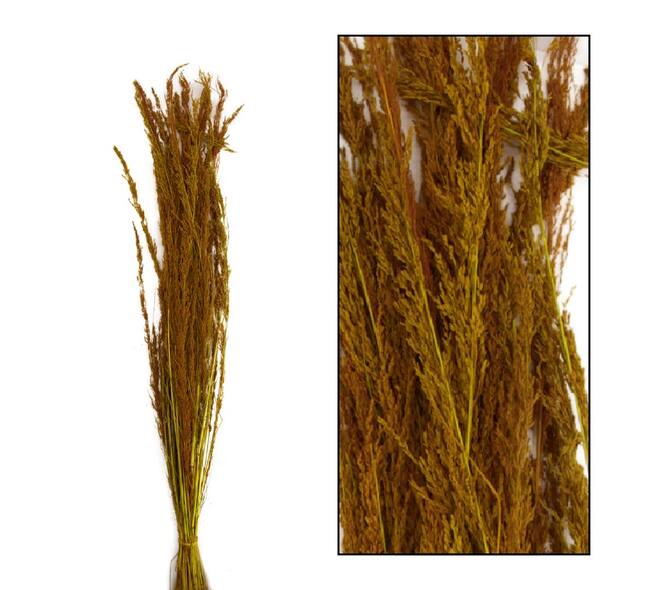 Richmond grass nature 100gr - Yellow