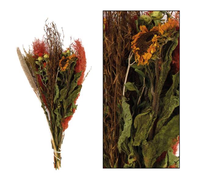 Dried flower bouquet - Multi