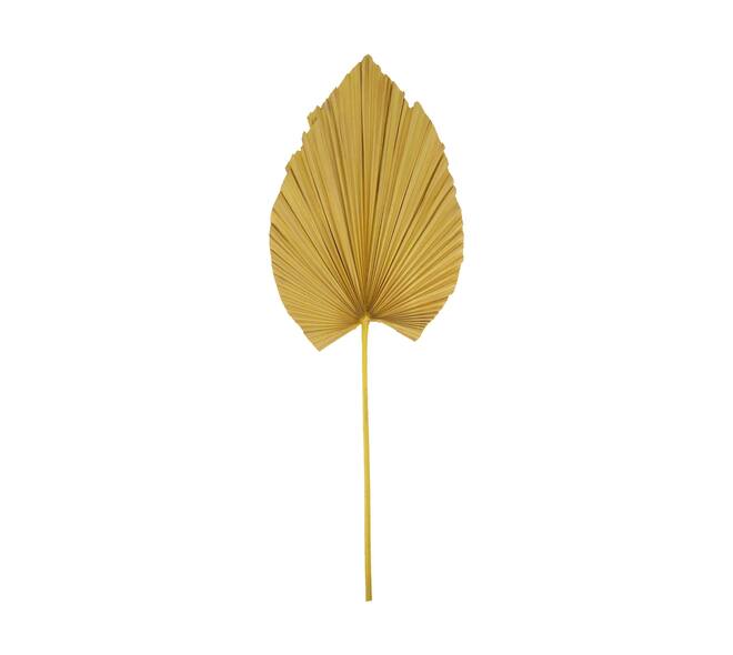 Palm leaf nature 33x1x89cm