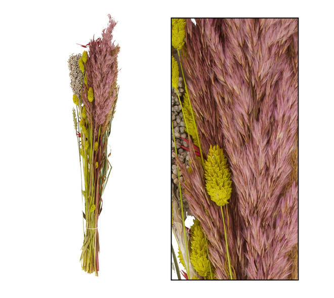 Dried flower bouquet - Multi
