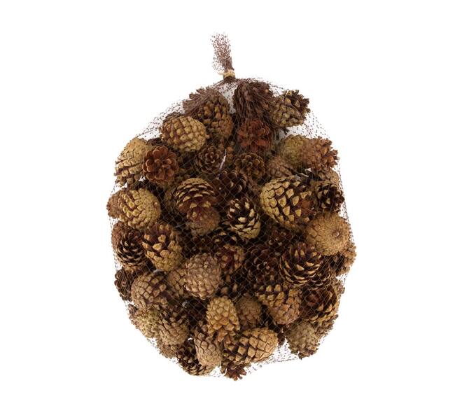 Pinecone silvesters nature 1kg - Natural