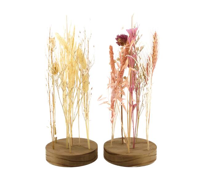 Dried flower nature with wooden base Ø12.5x33cm A/2