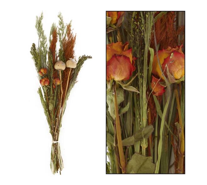 Bouquet dried flowers 73x24x14cm