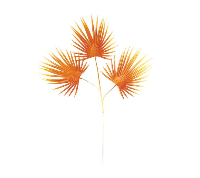 Branch with leaves artificial 70x50x3cm - Orange