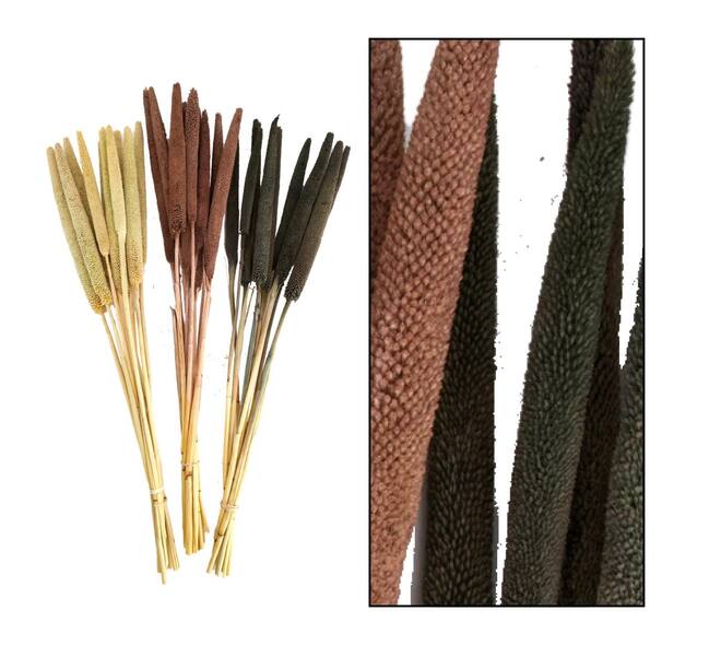 Babala nature 70x15x5cm 5pc