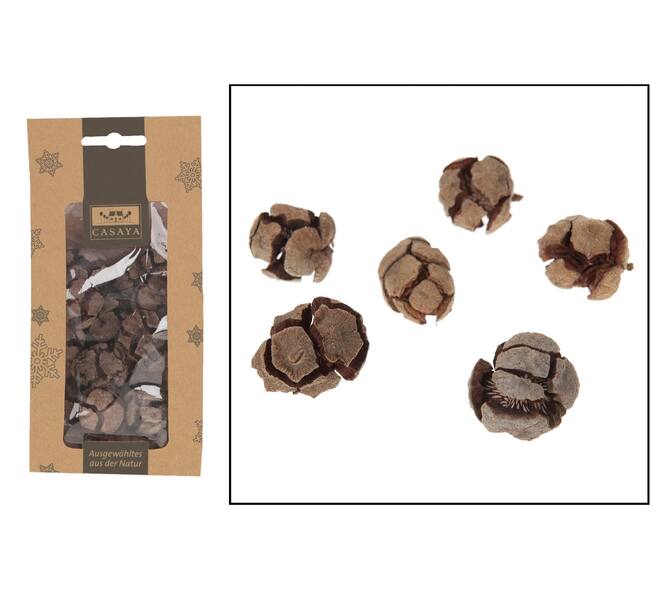 CASAYA Zypressen, ca. 200g natur