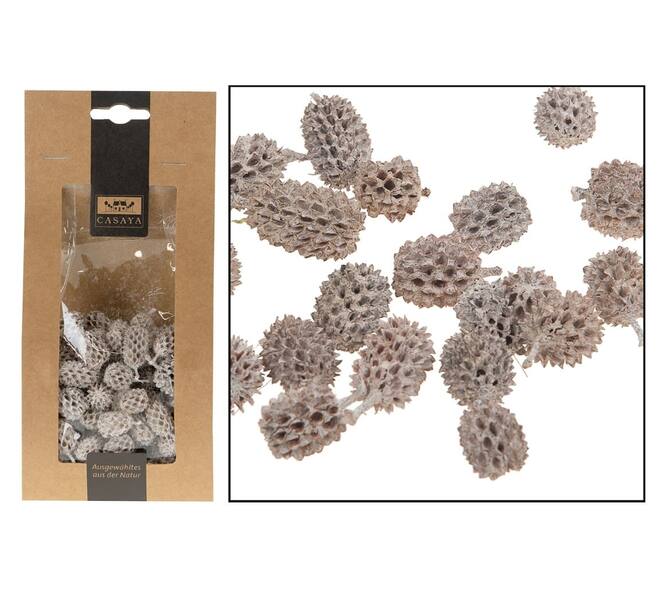 CASAYA Casuarina 100g weiss