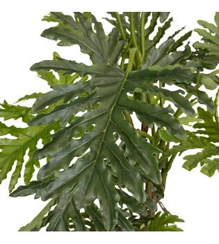 Plant philodendron artificial 100x100x190cm