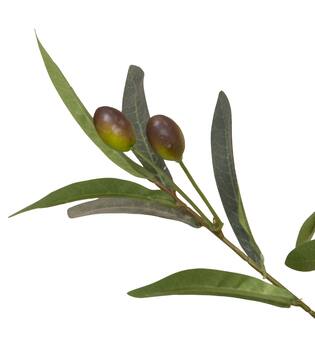 Tree olive tree artificial 70x70x150cm