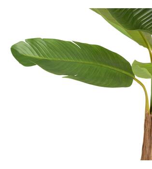 Tree banana artificial 115x120x200cm - Green
