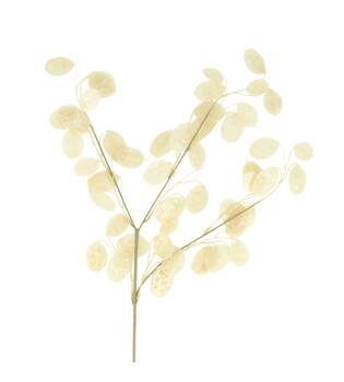 Branch lunaria artificial 75x25x2cm - White