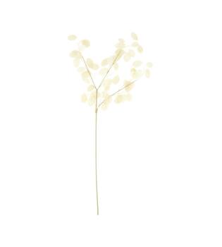 Branch lunaria artificial 75x25x2cm - White