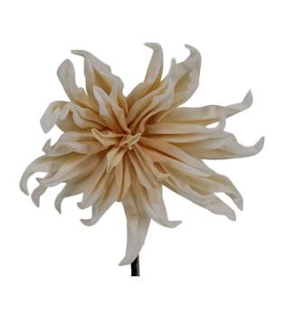 Flower dahlia foam 83x22x10cm - Cream