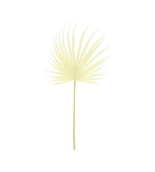 Leaf artificial 77x26x2cm - Cream