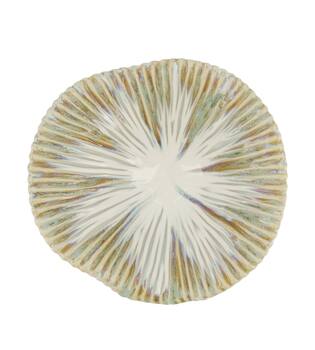 Bowl ceramic 26x26x10cm - White