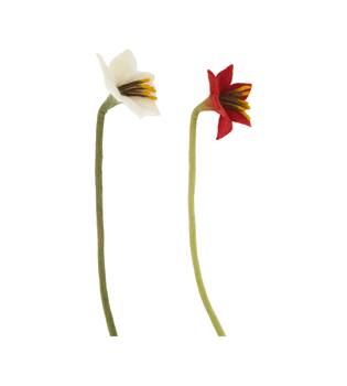 Flower amaryllis wool 14x14x58cm C/2
