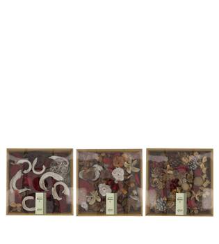 Exotic mix in tray nature 25.5x25.5x7.5cm A/3