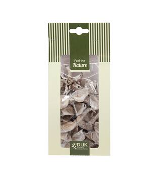 Cottonpod nature 10x5x22cm 40gr - White