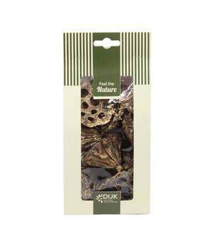 Lotus mini nature 10x5x22cm 10pc - Gold