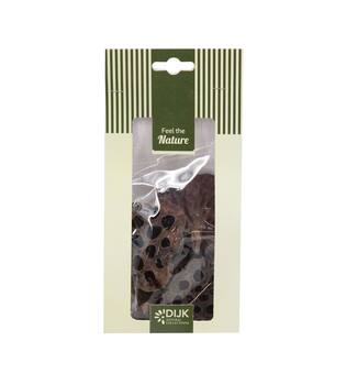 Lotus nature 10x5x22cm 4pc - Natural