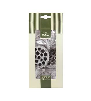 Lotus nature 10x5x22cm 4pc - White