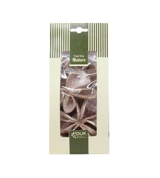 Landlotus nature 10x5x22cm 4pc - White