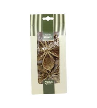Landlotus nature 10x5x22cm 4pc
