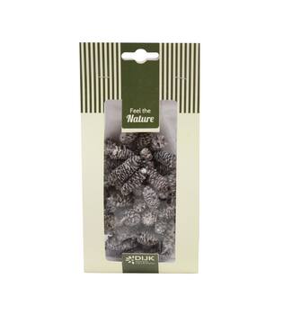 Pinecone birch nature 10x5x22cm 50gr - White