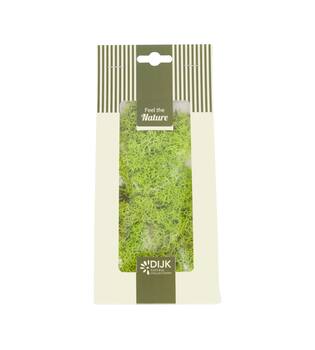Moss reindeer 30gr nature 10x4x22cm