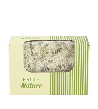 Moss reindeer 50gr nature 14x8x10cm - Natural