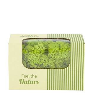 Moss reindeer 50gr nature 14x8x10cm - Green