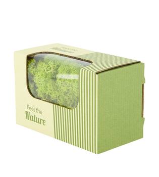 Moss reindeer 50gr nature 14x8x10cm - Green