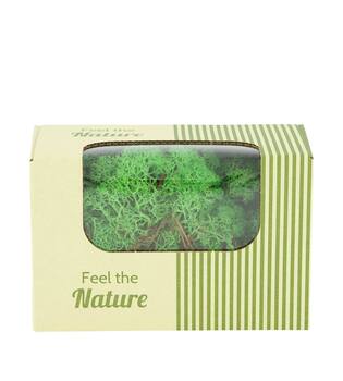 Moss reindeer 50gr nature 14x8x10cm - Green
