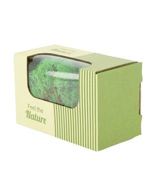Moss reindeer 50gr nature 14x8x10cm - Green