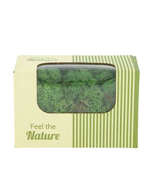 Moss reindeer 50gr nature 14x8x10cm - Green