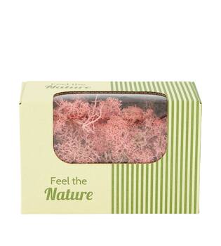 Moss reindeer 50gr nature 14x8x10cm