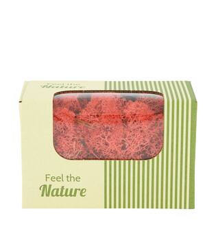 Moss reindeer 50gr nature 14x8x10cm