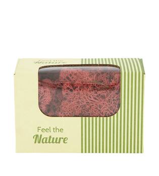 Moss reindeer 50gr nature 14x8x10cm - Red