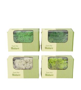 Moss reindeer 50gr nature 14x8x10cm - Green