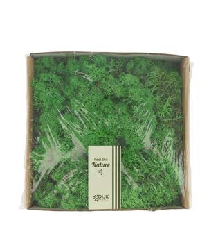 Moss reindeer 250gr nature 19x19x7cm - Green