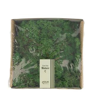 Moss reindeer 250gr nature 19x19x7cm