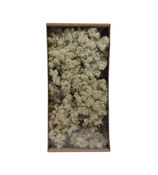 Moss reindeer 500gr nature 38x19x9cm