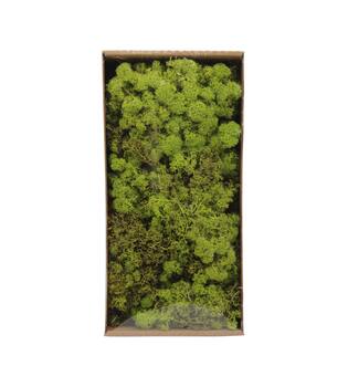 Moss reindeer 500gr nature 38x19x9cm
