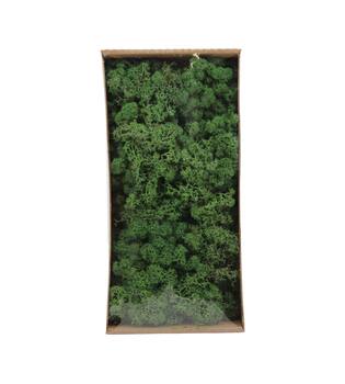Moss reindeer 500gr nature 38x19x9cm